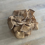 Sourdough Quinoa Chips